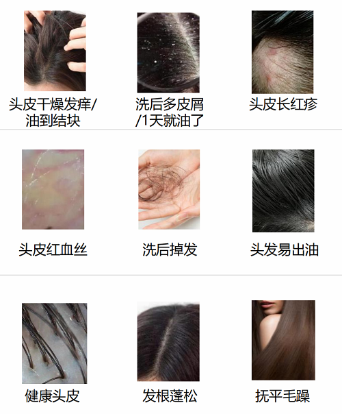 图片 1(1).png