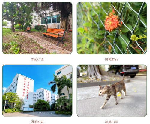 微信截图_20220720142940.png