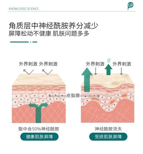 图片15.png