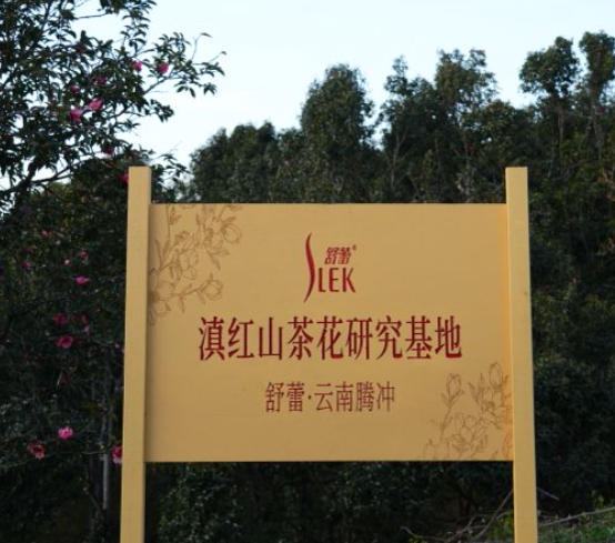 image (2).png